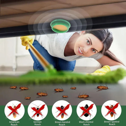 Coc Powder Gel (Pack of 24pc)