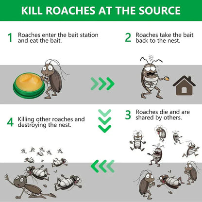 Coc Powder Gel (Pack of 24pc)