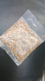 Load image into Gallery viewer, Organic Coriander seeds for Gardening (Pack of 20)
