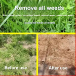 Load image into Gallery viewer, High-Concentration Glufosinate Herbicide All Crops,Organic (Pack of 2)

