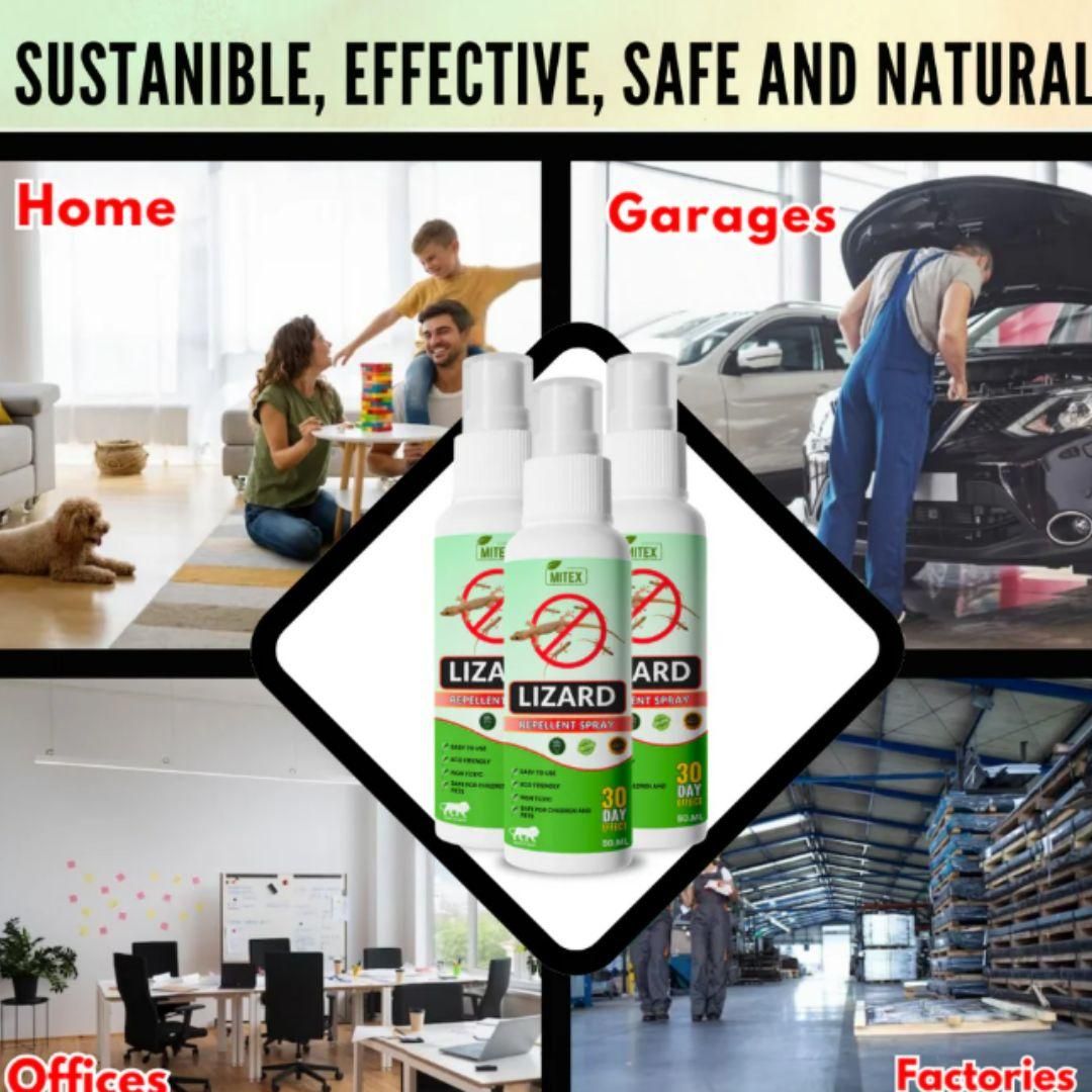 Lizard Repellent Spreay (Pack of 3)