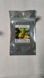 Load image into Gallery viewer, Cucumber-Golden Boy Lady Cucumber
