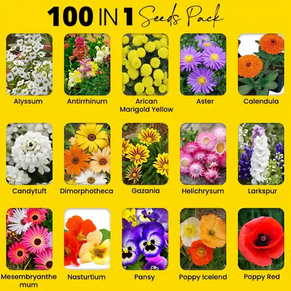 Buy Varieties of Flower Seeds (Pack of 100) + Plant Growth Supplement Free!!