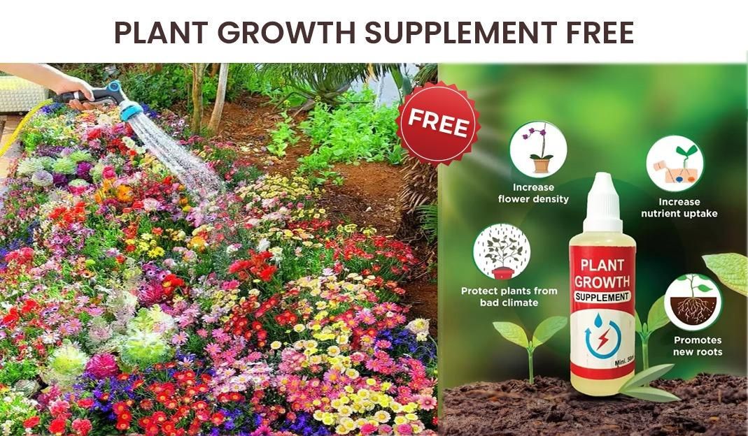 Buy Varieties of Flower Seeds (Pack of 100) + Plant Growth Supplement Free!!