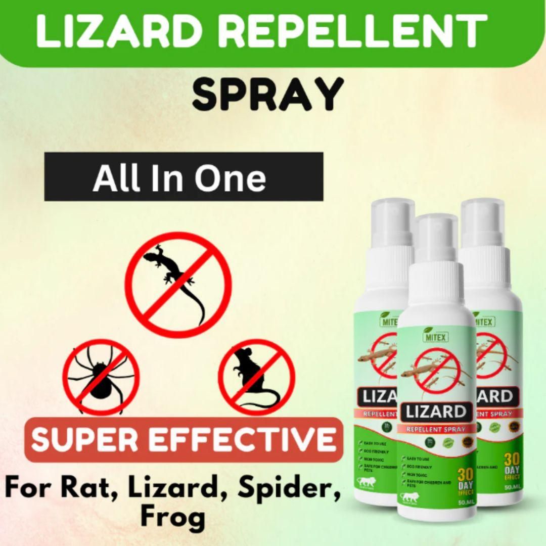 Lizard Repellent Spreay (Pack of 3)