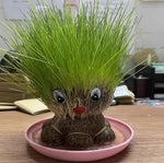 Load image into Gallery viewer, Octopus Grass Doll Grow Bag Pots
