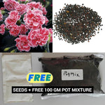 Load image into Gallery viewer, Dianthus Seeds (Free Pot Mixture 100 gm)
