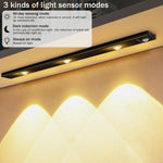 Load image into Gallery viewer, LED PIR Motion Sensor Cabinet  With USB Rechargeble

