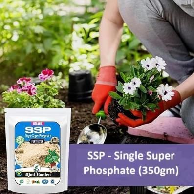 Single Super Phosphate, Essential Organic Fertilizer For Plant Growth (350 gm)