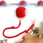 Load image into Gallery viewer, Viral Rolling Ball,Interactive Cat Ball Toy
