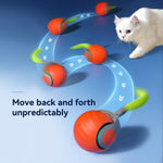 Load image into Gallery viewer, Rolling Ball Cat Toy

